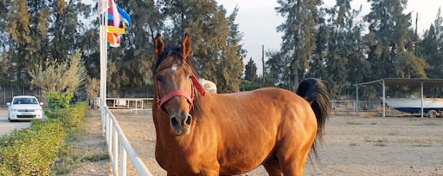 Club Equestre L'Hacienda