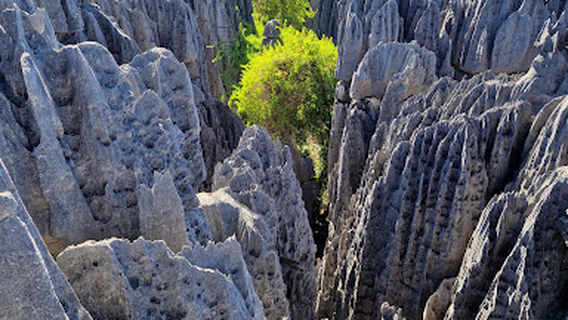 Tsingy De Bemaraha National Park