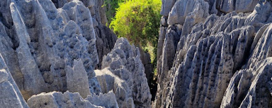 Nationalpark Tsingy de Bemaraha