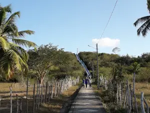 Cristo de Carnaúba