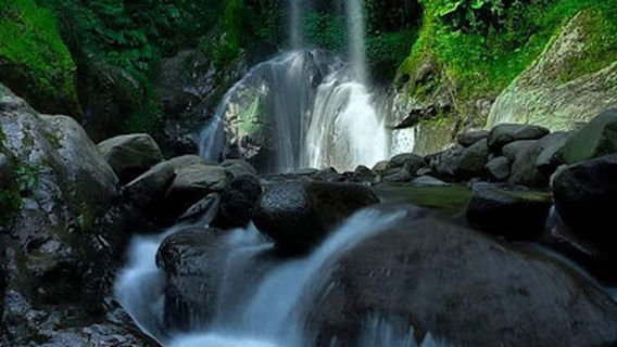 Wisata Guci Tegal , Info Wisata Guci , Guci Tegal