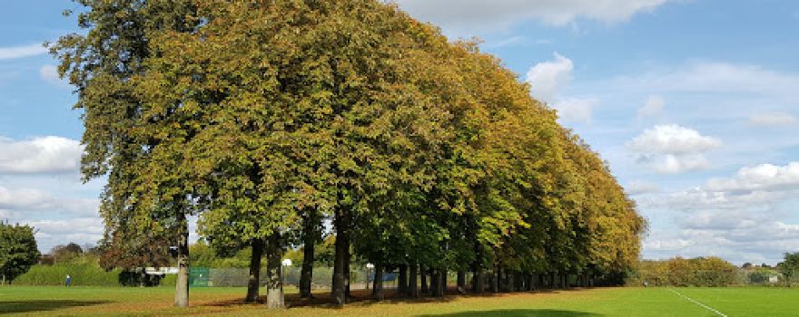 Alexandra Park