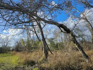 ザ・シティ・オブ・コープス・クリスティ・ワイルドライフ自然保護区