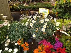 Jardinerie Lagadec