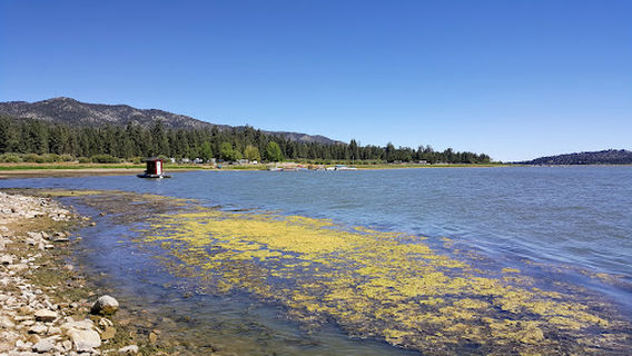 Big Bear