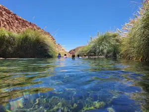 Popular Hot Springs Attractions in El Loa