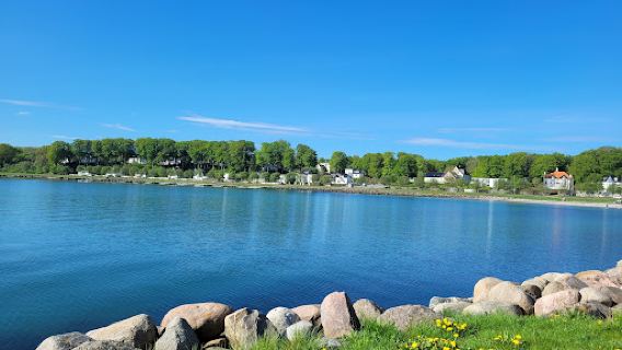 Tangkrogen