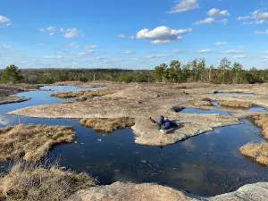 Arabia Mountain National Heritage Area