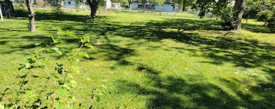 Evergreen Park - St. Clair SPRAY PARK