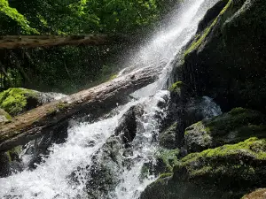 Crabtree Falls Parking Lot