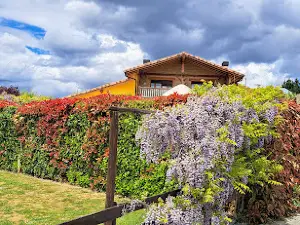 Camping el Roble Verde