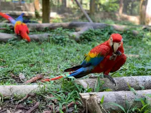 Parque Zoobotânico-Marabá
