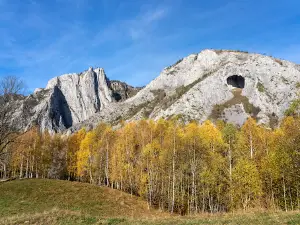 Șesul Craiului - Scărița-Belioara