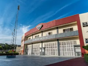 Estadio Julián Javier