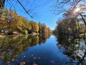 Hillbilly Acres Campground LLC
