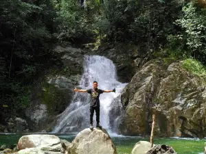 Yayasan Pohon Damai