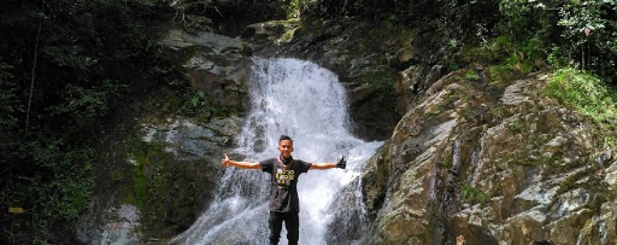 Yayasan Pohon Damai
