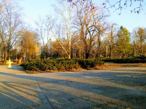 Chernichkite park