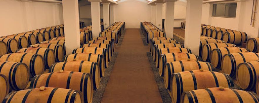 Weingut Sepp Moser