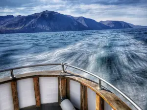 Friends of Moby Dick - Whale Watching
