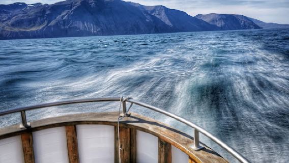 Friends of Moby Dick - Whale Watching