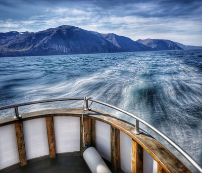 Friends of Moby Dick - Whale Watching