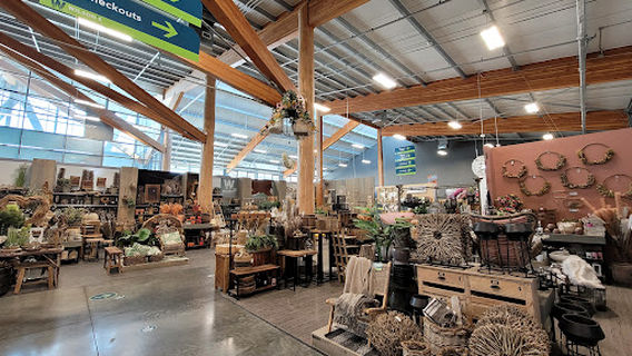 Wilson's Lifestyle Centre