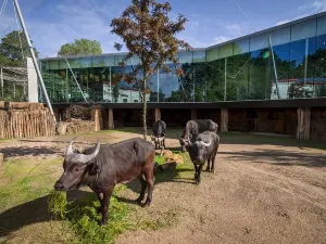 Zoo Antwerpen