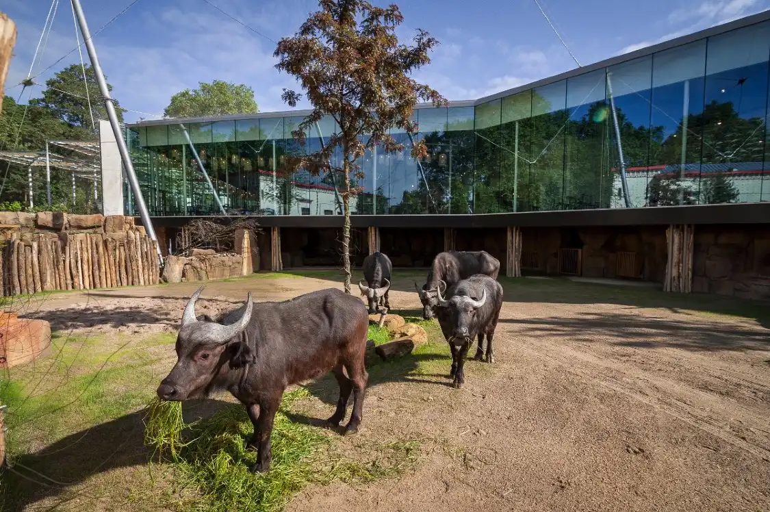 Hotels in der Nähe von Zoo Antwerpen