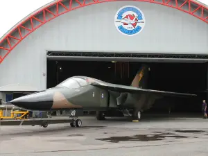 Fighter World