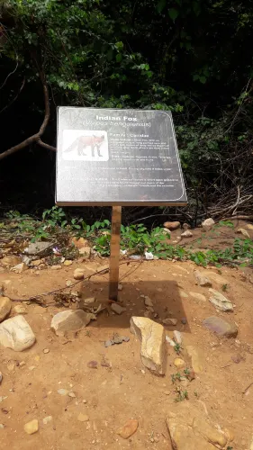 Kailasa Kona falls