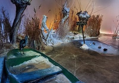 Natuurmuseum Fryslan
