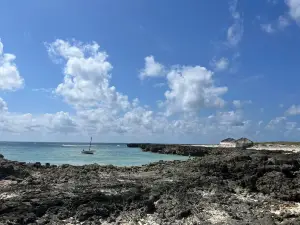 Ilha Blue Island Safaris