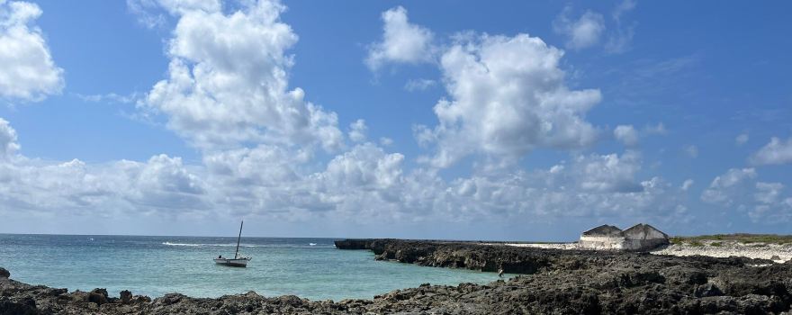 Ilha Blue Island Safaris