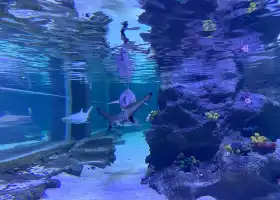 Emaar Akvaryum