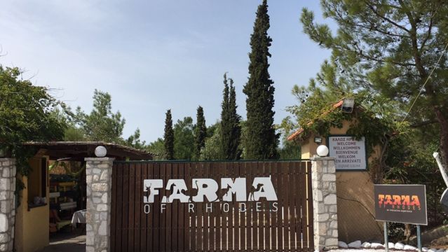 Farma of Rhodes | Petting Zoo