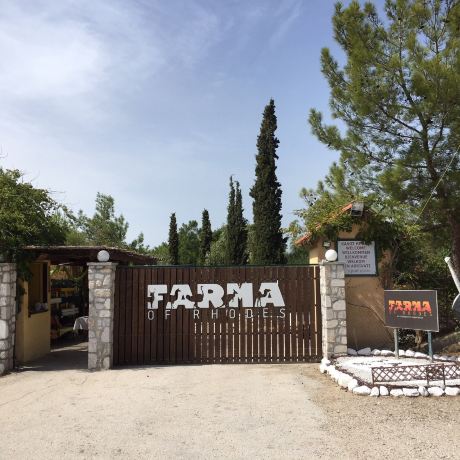 Farma of Rhodes | Petting Zoo