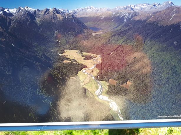 te-anau-downs