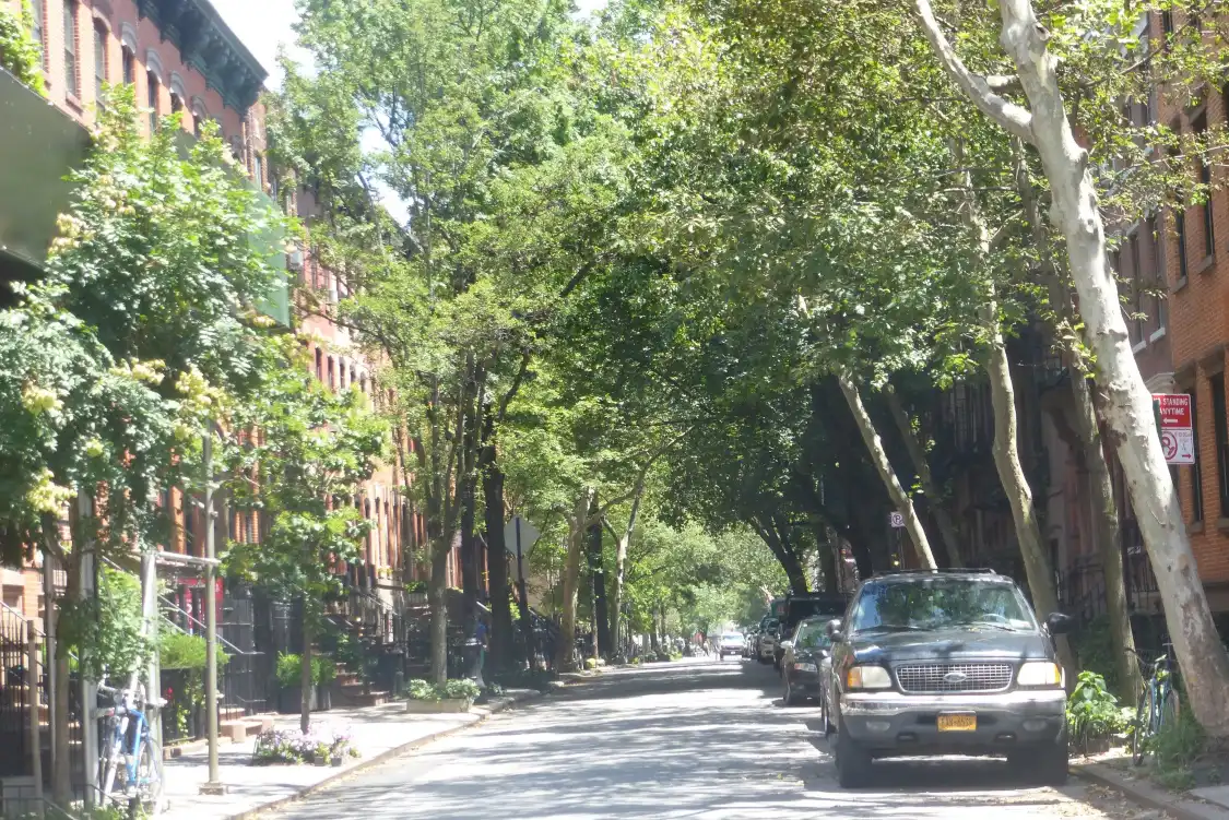 Hotels near St. Luke's Place