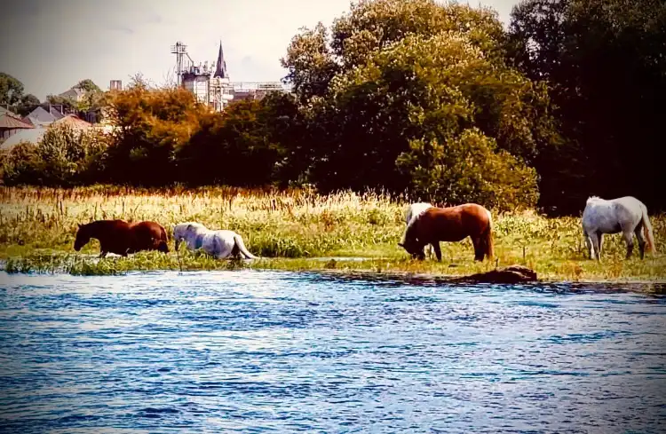 Athlone