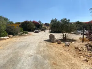 Carmey Avdat Farm