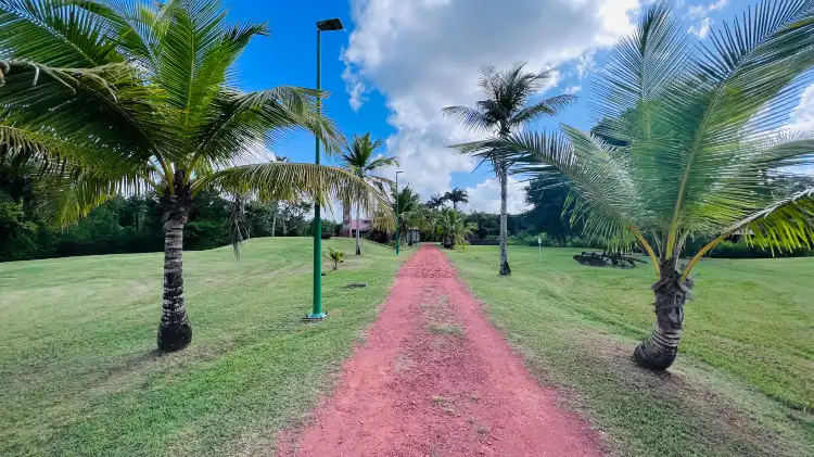 Hotels near House of Sugar (Maison de la Canne)