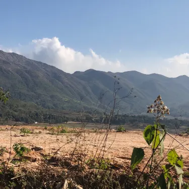 Araku Valley