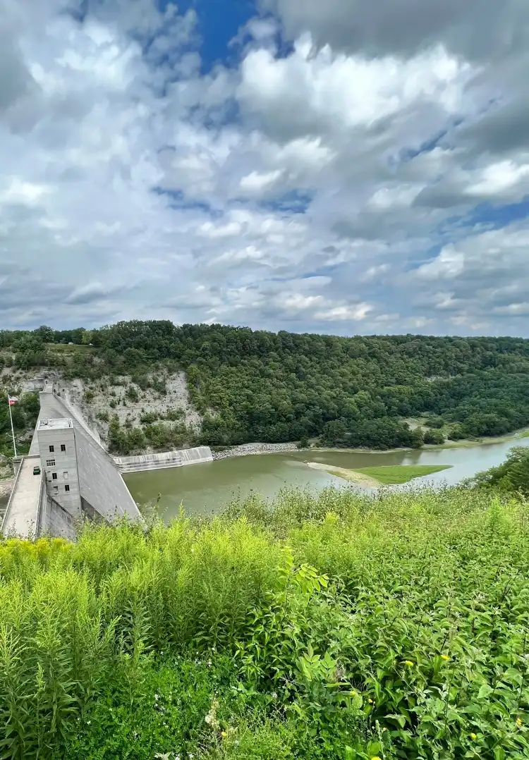 Ливингстон