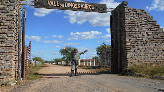 Valley of the Dinosaurs