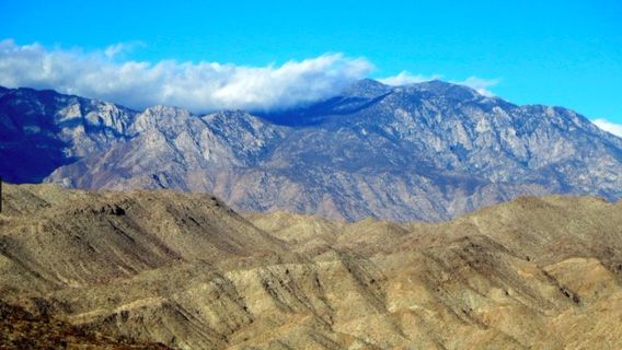 Bump and Grind Trail