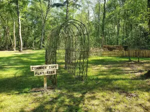 Wild Pines Park