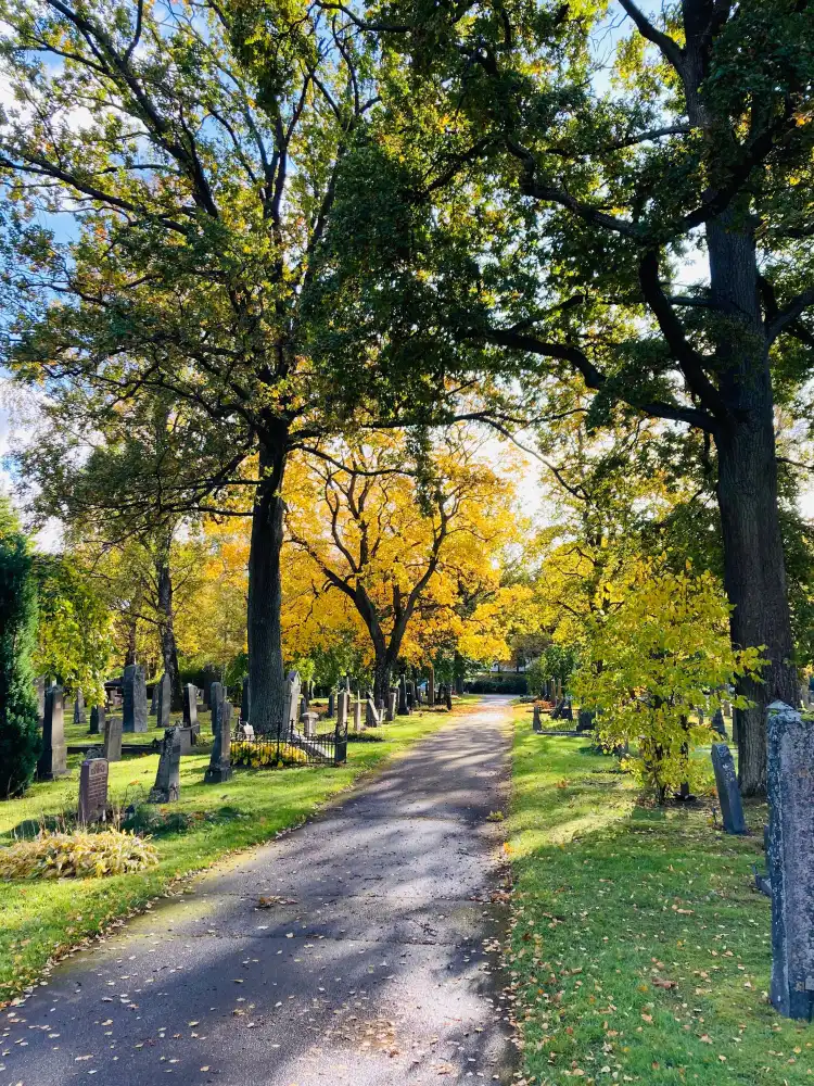 Hotel dekat North Burial Ground