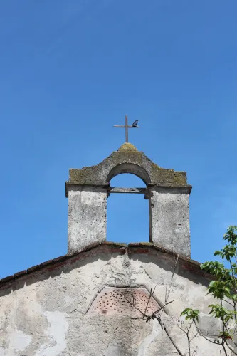 Nueva Palmira