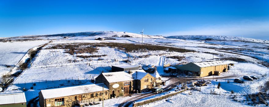 The Wellbeing Farm